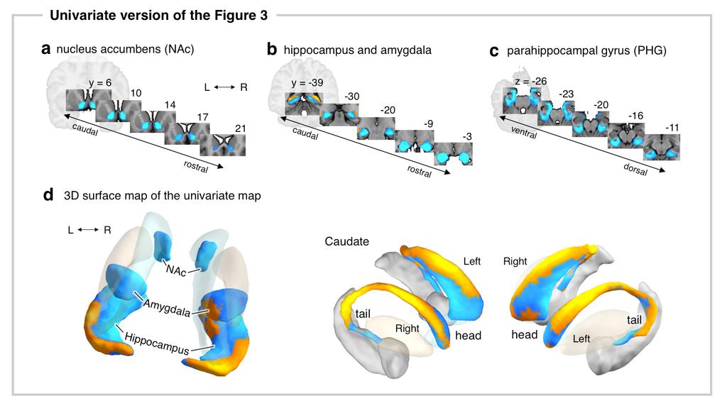 QUANTIFYING CEREBRAL CONTRIBUTIONS TO PAIN 4 Supplementary Figure 4. The univariate version of the Figure 3.