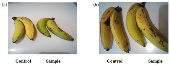 ethylene gas is generated and its content will increase with time. This ethylene gas is indicated by the good smell of the bananas.