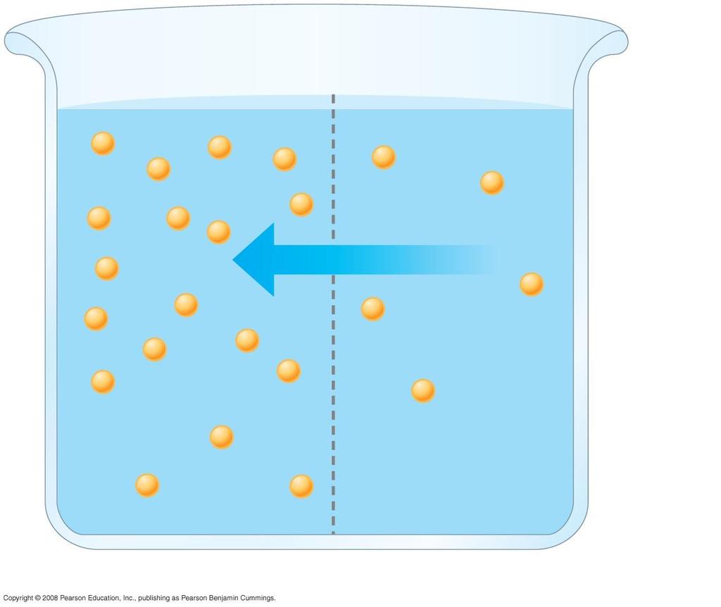 Fig. 44-2 Selectively permeable membrane Net water
