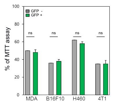 Supplementary Figure 2. Changes in fluorescence according to GFP DNA transfection amount.