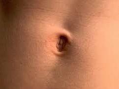 we traditionally pierce The umbilicus is the