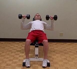 dumbbells on your knees. Slowly lie back on the bench bringing the dumbbells straight up at chest level.