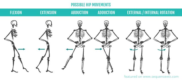 Hip: ROM Flexion Extension ABduction