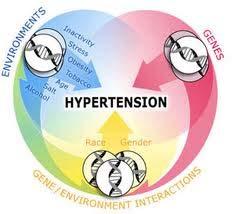 Prevention Medical Issues Hypertension Diabetes Hypercholesterolemia Deep Vein