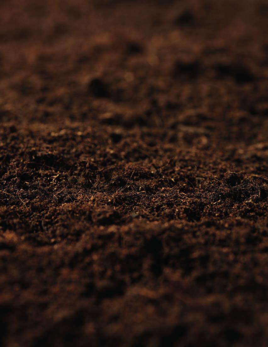What Do Microbes Do? Microbes have many functions within soil-plant systems.