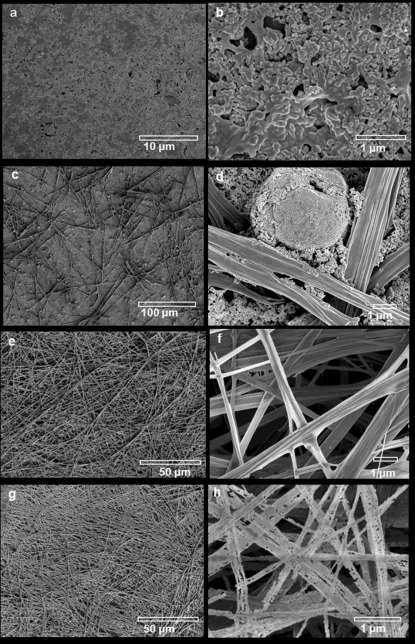 Figure S6. SEM images of the deposit patterns obtained from a ZnO nanofluid droplet evaporating at different relative humidities. The sample preparation procedure is as followings.