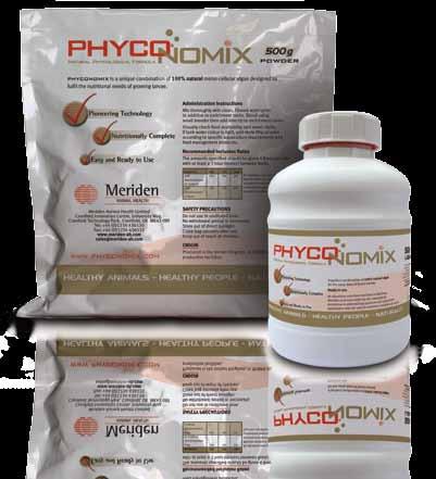 Meriden s Solution A range of 100% natural algae based products, manufactured as a precision mixture engineered to fulfill the nutritional requirements of growing shrimp and fish larvae, known as