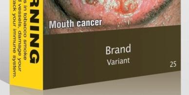 brand imagery, allowing only the brand name in a mandated size, font, and position Government-mandated information, such as health warnings, would remain 11 Tobacco Advertising,