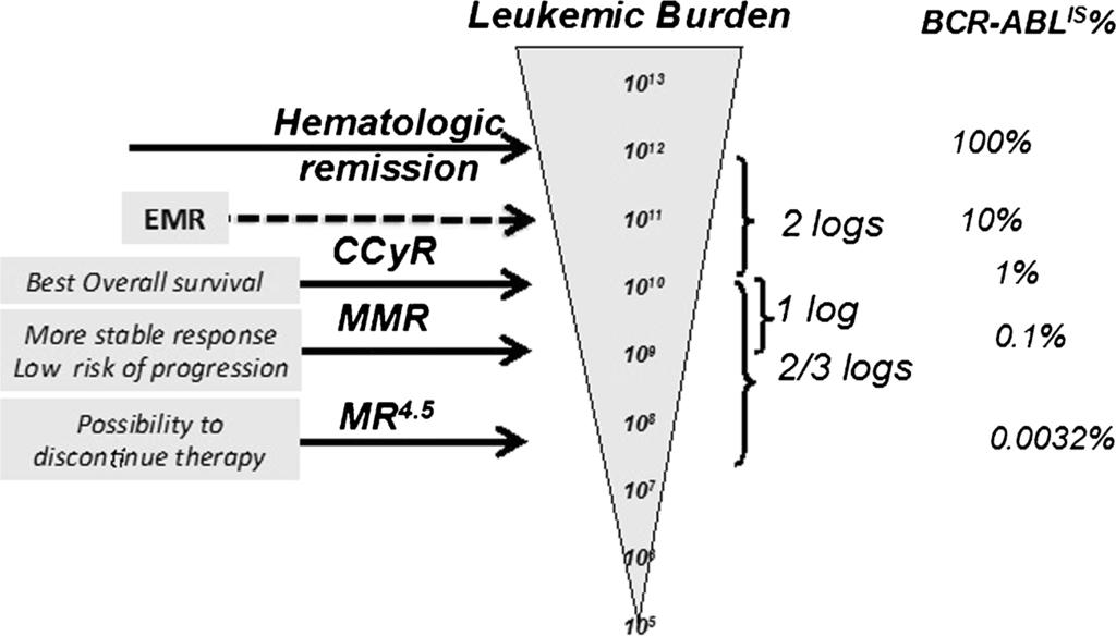 Curr Hematol Malig Rep (2015) 10:167 172 169 Fig. 1 Monitoring of molecular response in CML by RQ PCR. Hierarchic order of responses and corresponding clinical outcomes response [5, 6 ].