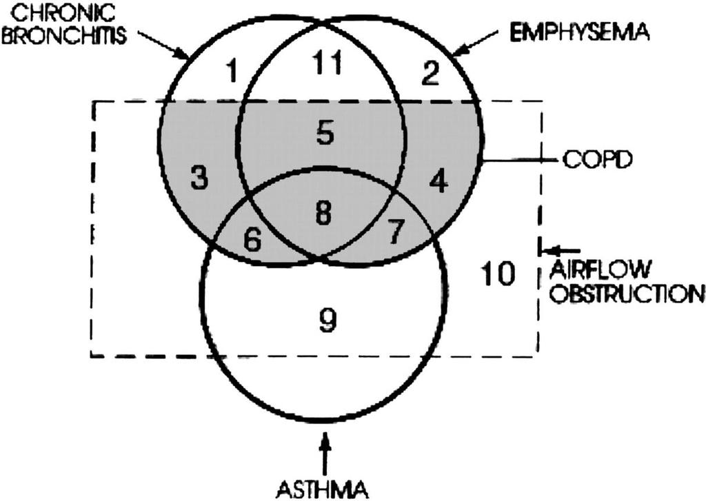 Heterogeneity of COPD - Clinical Phenotypes - Soriano JB. Chest. 2003;124(2):474-481.