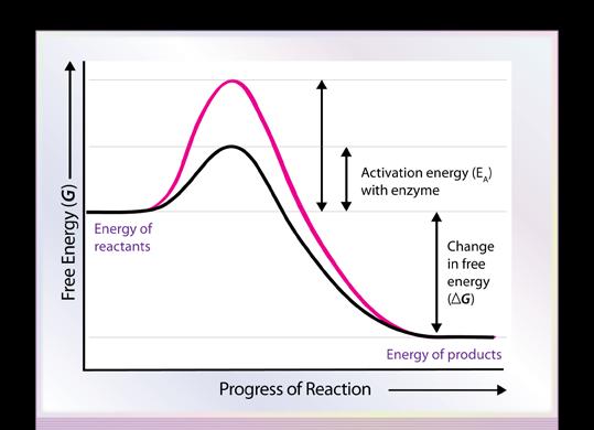 Activation Energy Activation energy may be defined as the minimum amount of energy required to get the reactants in a chemical reaction to the transition state, in which bonds are broken and new
