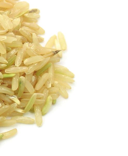 Rice Concentrate Ingredients for Various Applications Anti-Caking Nu-FLOW Agent Nu-Flow offers producers an option to replace SiO 2, and Ca Stearates with a natural or certified organic ingredient.