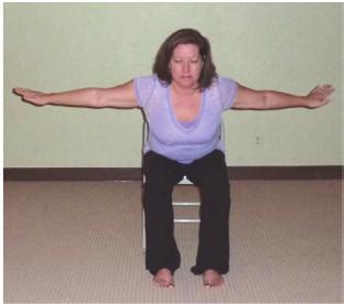 Gentle Yoga for Fibromyalgia with Dannette Rusnak Chair/Mat