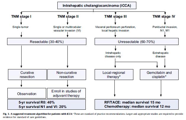 icca Treatment Algorithm About two-thirds of patients Stage 1 and 2 patients progress to chemotherapy