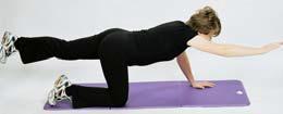 Start with the hands shoulder width apart and knees hip width apart.
