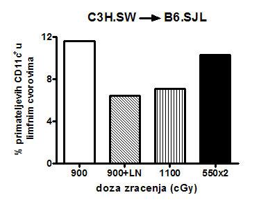 Slika 14. Utjecaj zračenja i T limfocita na perzistenciju primateljevih DC. B6.