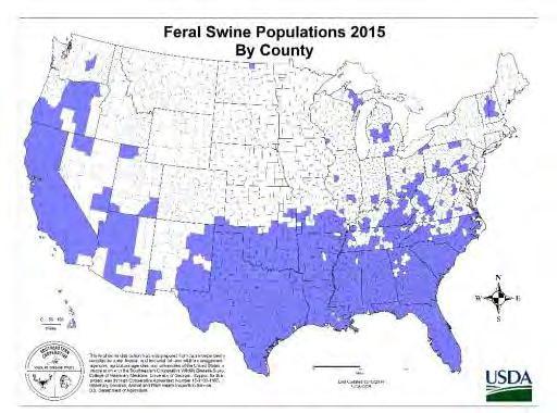 National Strategy to Manage Feral Swine In 2014, USDA s Animal & Plant Health Inspection Service (APHIS) began receiving $20 million annually to implement a collaborative, national feral swine