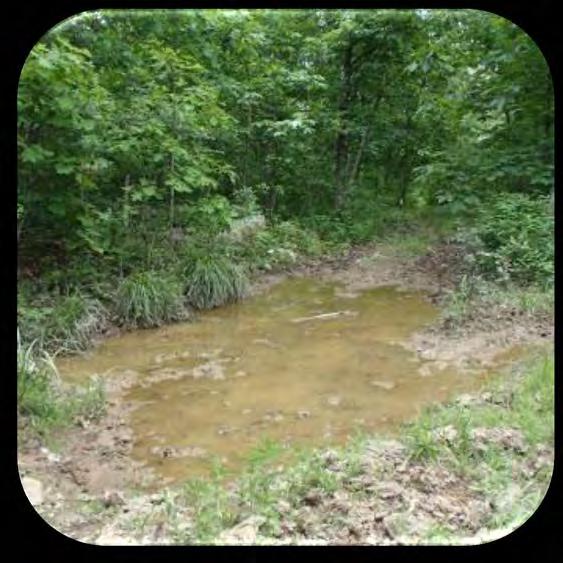 runoff carry increased sediment downstream Sediment settles in streambeds and changes