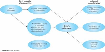 Prevention, Education, Treatment (cont.) Figure 9.4 Risk and protective factors affecting the psychological adjustment of intellectually disabled children (based on Lacharite et al., 1995).