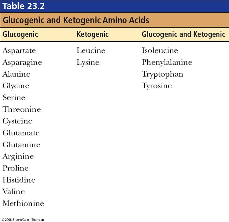 ketogenic amino acids are shaded yellow.