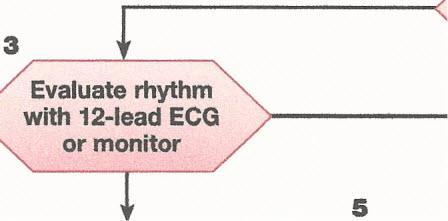 Pediatric Tachycardia With a Pulse and Poor Perfusion Algorithm 1 Identify and treat underlying cause Maintain patent airway; assist breathing as necessary Oxygen Cardiac monitor to identify rhythm;