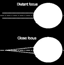 The Lens Accommodation: The process by which the eye s