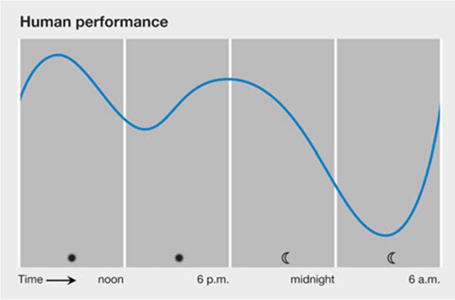 Circadian Rhythm Circadian rhythm influences more than just a sleep/wake phases: