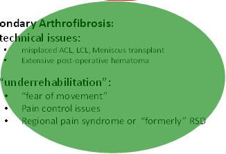 Overexpression of TGF β 1 Overexpression of myofibroblasts Secondary Arthrofibrosis: technical issues: misplaced ACL, LCL,