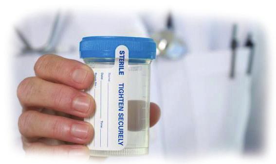 Drug Testing Programs U.S. Mobile Health Exams provides on-site mobile collection services at your facility or anywhere our clients need collections performed.