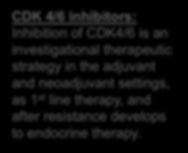 growth 2 phase G2 mitosis M Cell Cycle G1 cyclin D1 growth 1 phase CDK 4/6 RB1 CDK 4/6 inhibitors: Inhibition of CDK4/6 is an investigational therapeutic strategy in the