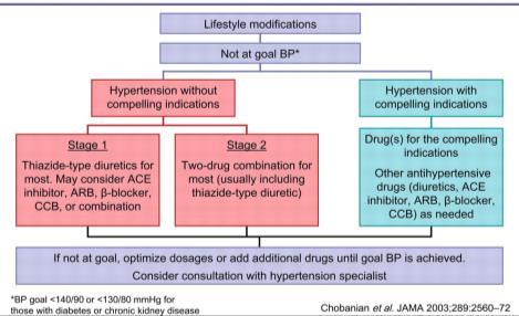 ADA Guidelines HTN Management Target goal is <140/80 mm Hg JNC 7: Treatment Algorithm Treatment options include ACE, ARB or diuretics Two or more agents at maximum doses is required to achieve blood