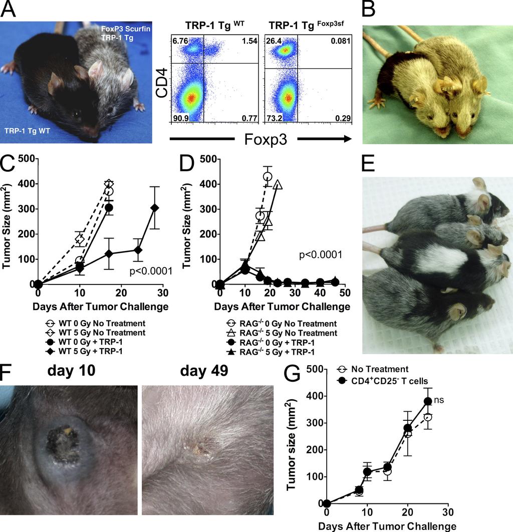 Published February 15, 2010 Ar ticle tumor-bearing mice.
