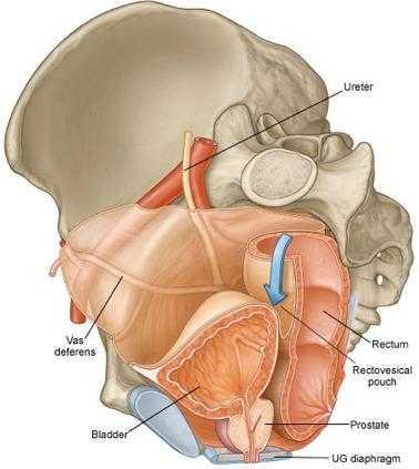 It is a pouch that form by peritoneum folds between 2 viscera e.g.