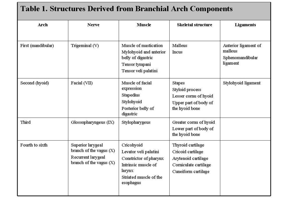 Fig. 4: Table 1: Structures derived