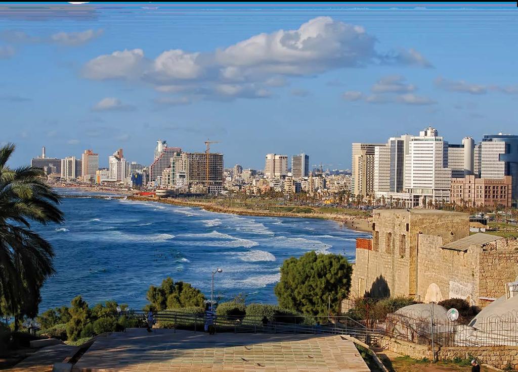 CO-CHAIRPERSONS Invitation for the Industry Dear Colleagues, Following the success of the 1 st Friends of Israel Urological Symposium (FOIU), we are pleased to invite you to the 2 nd FOIU Symposium,