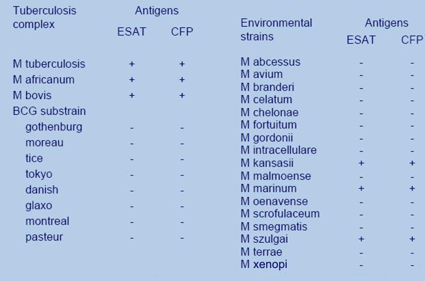ESAT 6 & CFP 10 Specific antigens (RD 1 region) of M.
