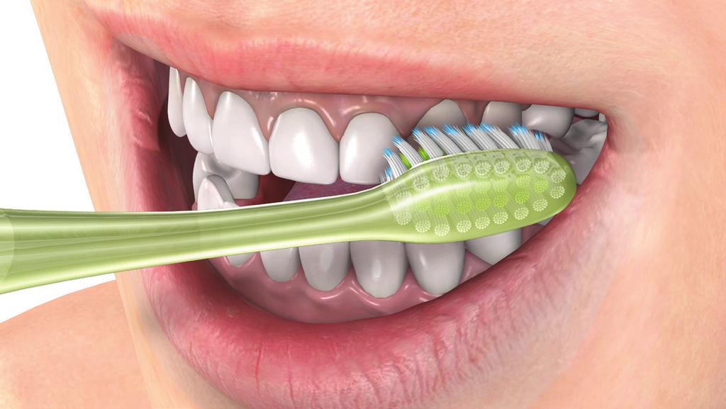 Bristles should contact both the tooth surface and