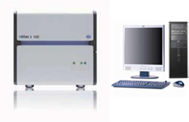 cobas 4800 system for BRAF Real-time PCR Reproducible result with LightCycler
