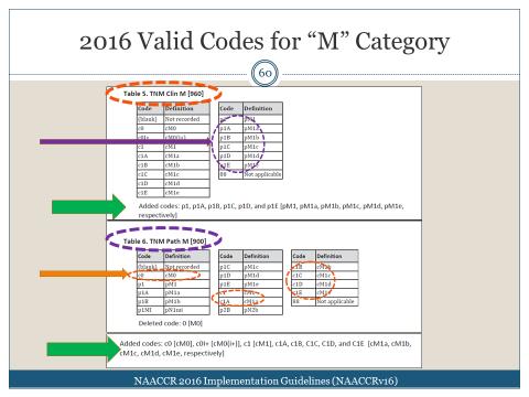 2016 Clinical M Codes 2016 Pathologic M Codes 21 2016 AJCC Staging Examples These examples are not using any specific site, but rather general information examples CLINICAL (pre-treatment) T N M Gp