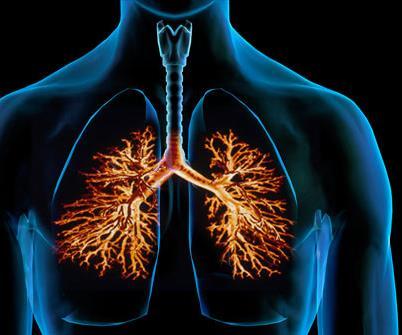 Lung Disease 2016 University of North Carolina: E-cigarettes alter hundreds of genes important for immune defense.