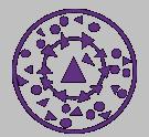 PURPLE RED Purple vmeme Team orientated and loyal to their own community and tribe. Someone expressing Purple will seek agreement within a group but will tend to defer to an authority figure.