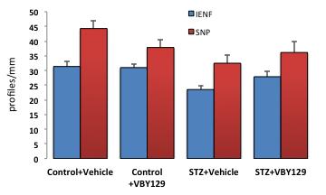 It was notable that paw thermal hypoalgesia of diabetic mice treated with vehicle or VBY129 diminished over time in the reversal study (right panel), suggesting spontaneous recovery of function. Fig.