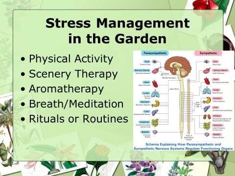 found that aroma therapy reduces the level of stress hormones in the body.