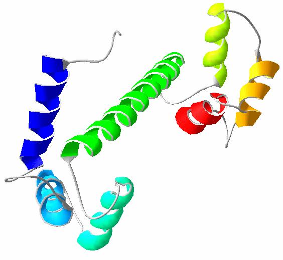 Calmodulin Calcium binding protein involved in many metabolic processes Small: approx.
