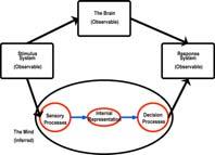 Modern Conception of the Neurosciences Body / Mind Problem Modern Conception of Perception Physical Dimensions: Two Phases in Perception : Sensory - Decision Stimulus Neural activity Perception