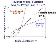 Scaling: Stevens Power law Another function relating sensation magnitude to stimulus intensity: The exponent m describes whether sensation is an expansive or compressive function of stimulus