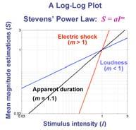 The coefficient a simply adjusts for the size of the unit of measurement for stimulus intensity threshold above the 1-unit stimulus Scaling: Stevens Power law Significance of scaling and threshold