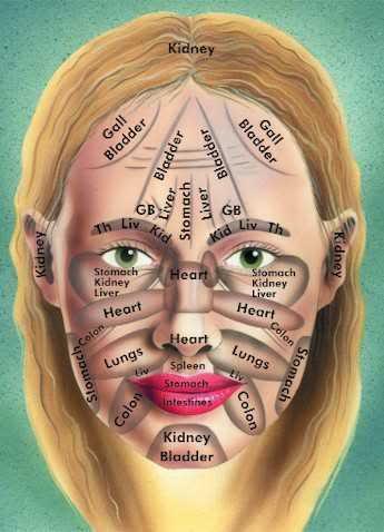 One of the concepts of Chinese medicine is that different parts of the facial skin correspond with internal organs.