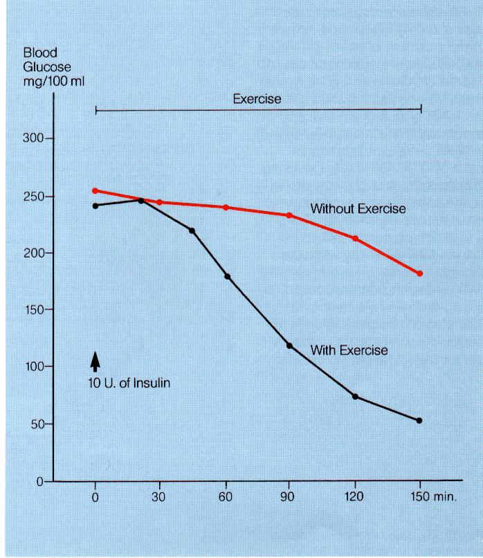 Effect of Exercise on Blood