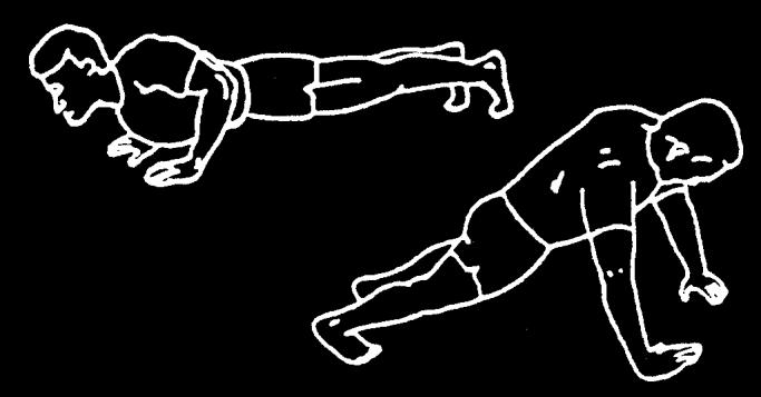 Exercise 8 8. Push-ups: Start in the down position with arms in a comfortable position.
